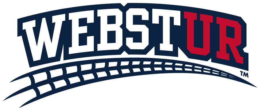 Richmond Spiders 2011-2017 Mascot Logo v3 diy iron on heat transfer